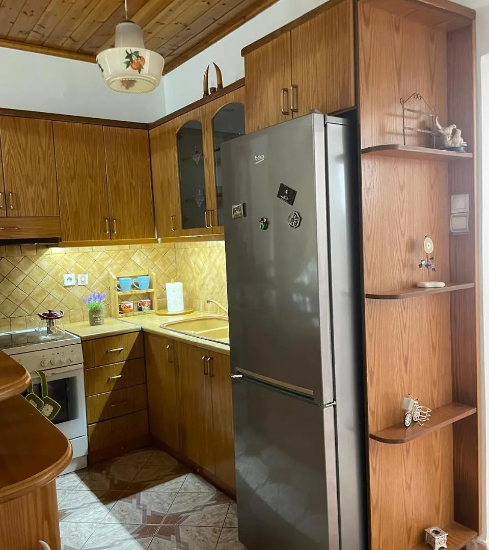 Elion Apartment Gjirokaster 0*,