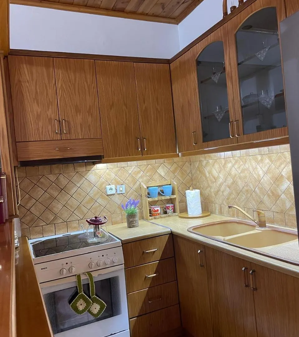 Elion Apartment Gjirokaster