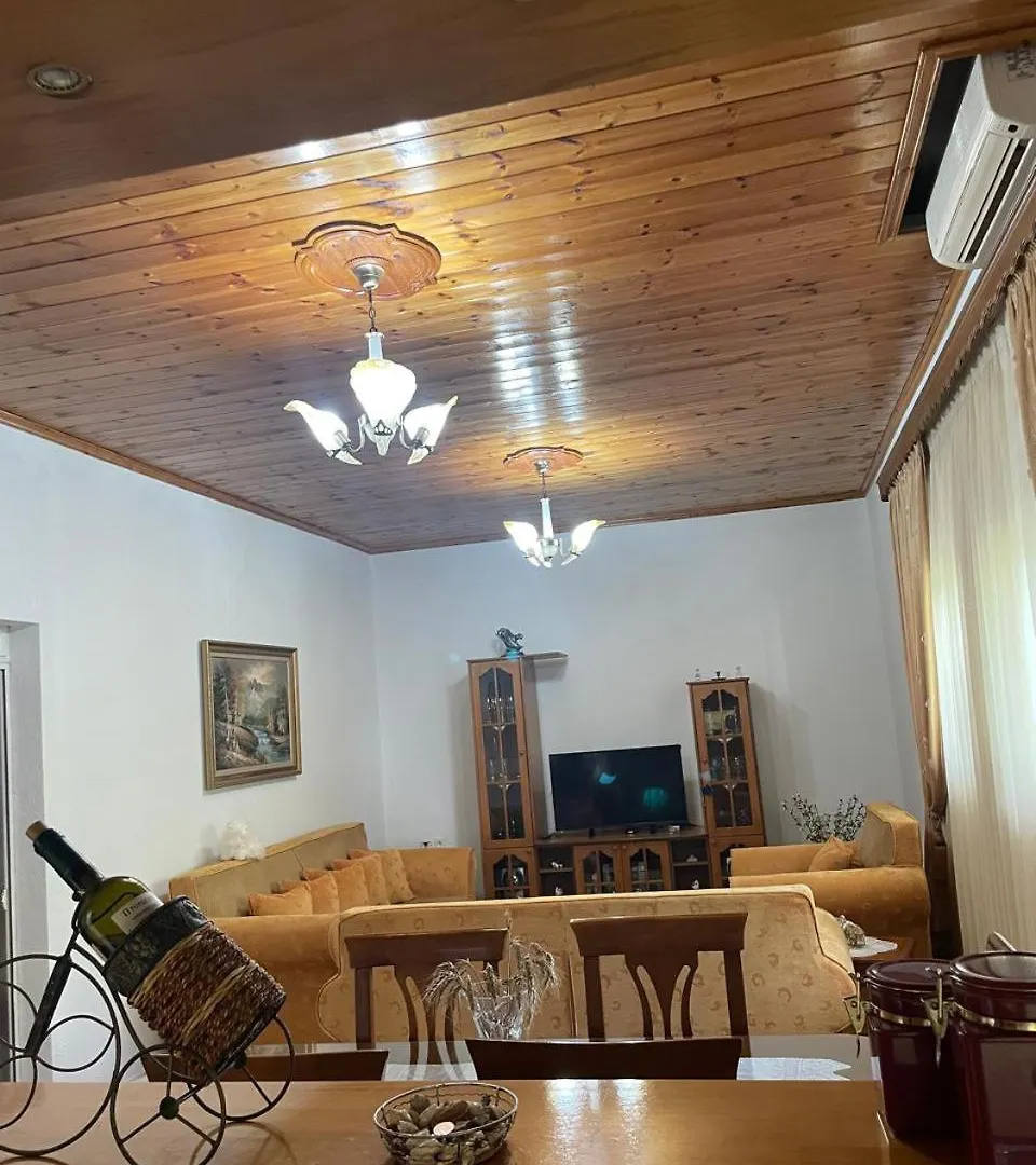 Elion Apartment Gjirokaster