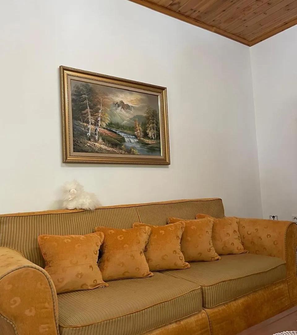 Elion Apartment Gjirokaster