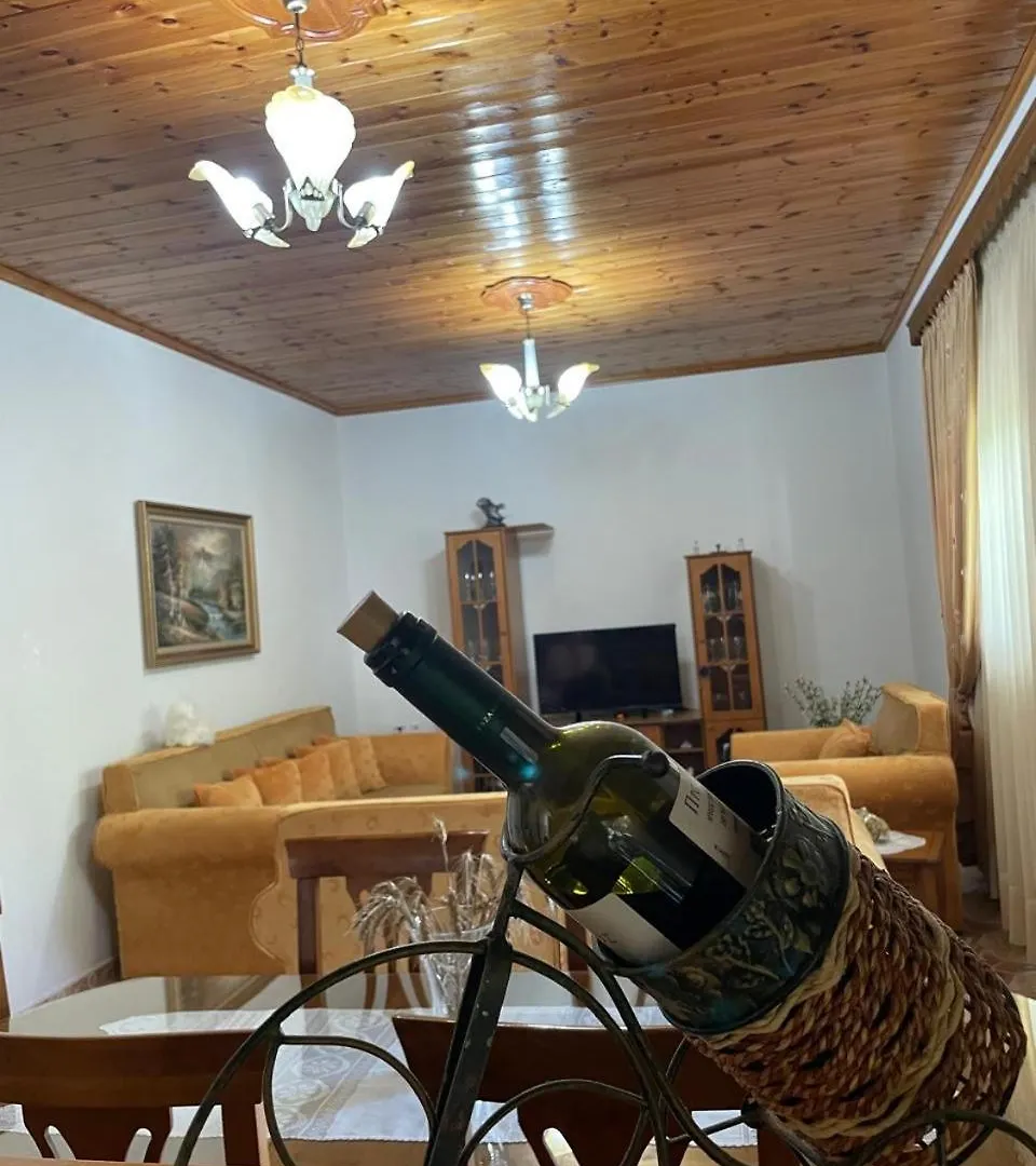 Elion Apartment Gjirokaster 0*,